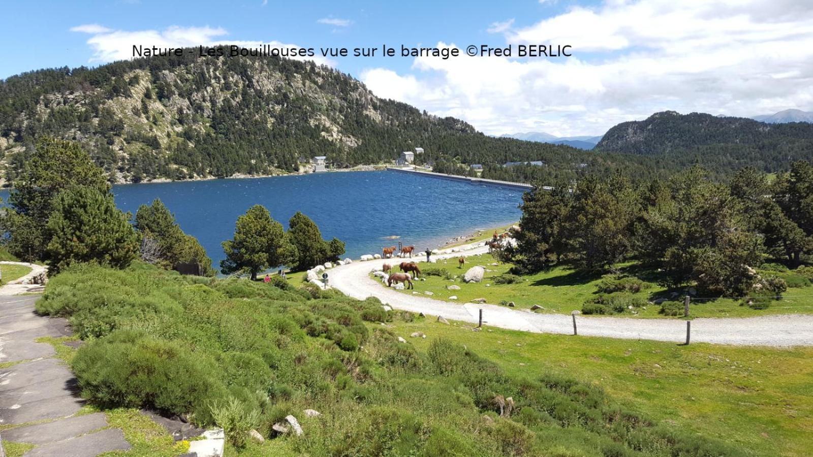 Camping Las Asperas*** Palau-de-Cerdagne Exterior foto