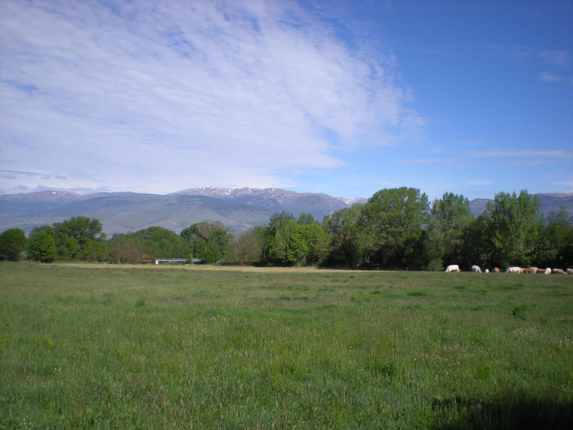 Camping Las Asperas*** Palau-de-Cerdagne Exterior foto